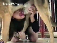 Slave girlfriend using a toy and engulfing a dog